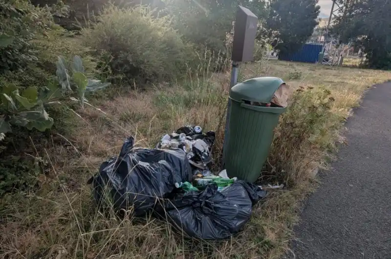 podél cyklostezky před park u S. Urbana - už je to tam 14 dní. GPS: 50.2323533N, 12.8501069E