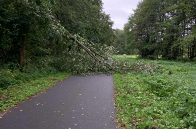 Cyklostezka u Doubského mostu směrem k centru