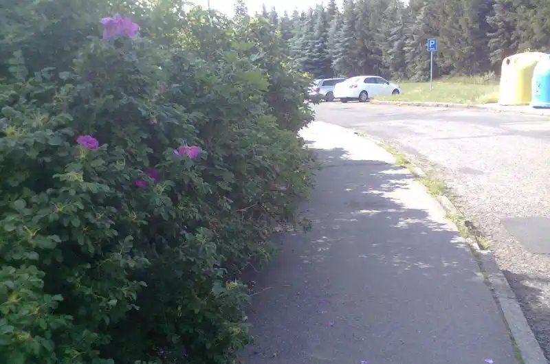 foto