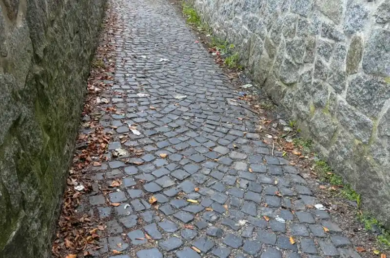 Nepořádek, hlavně střepy