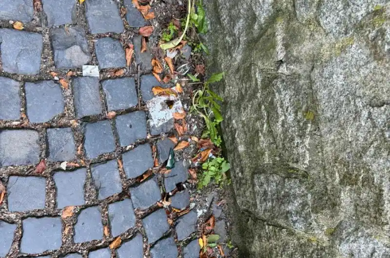 Střepy /na fotce není moc vidět)