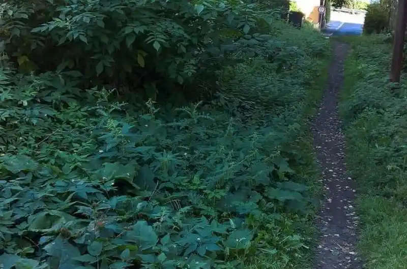 foto