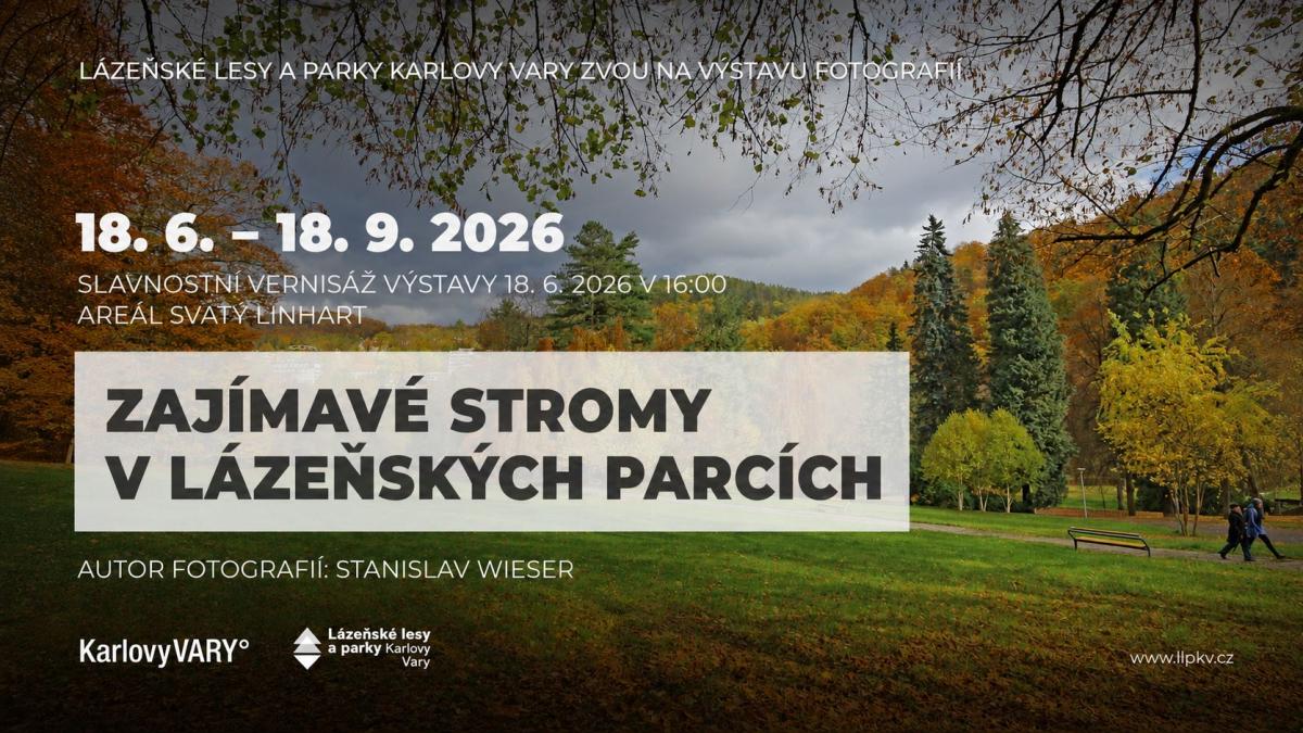 Plakát k akci Zajímavé stromy v lázeňských parcích